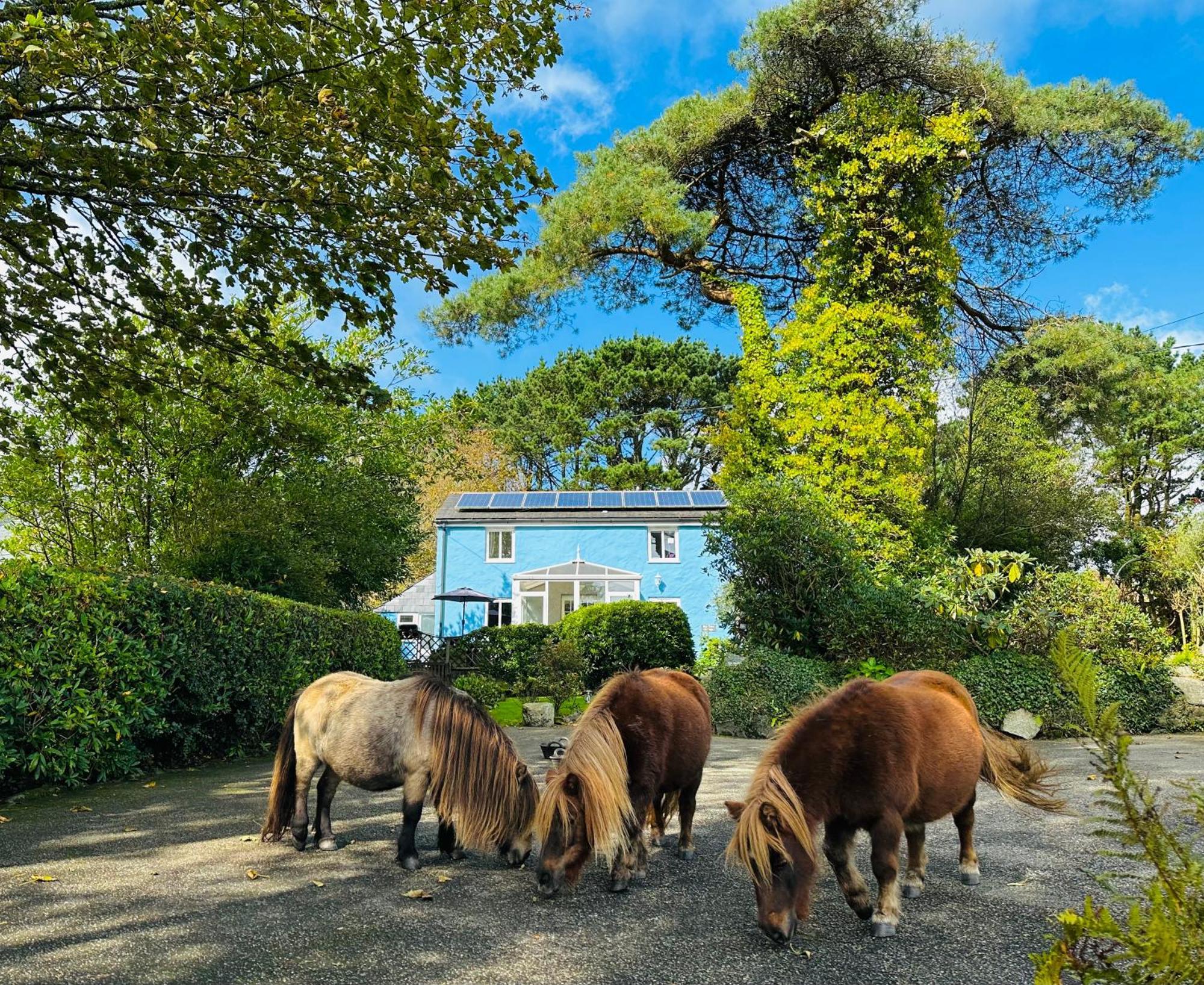 סנט אוסטל Bay View Cottage מראה חיצוני תמונה